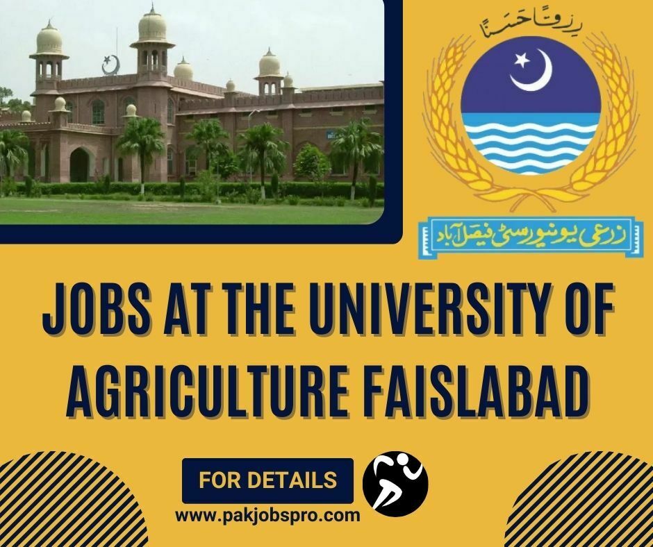 University of Agriculture Faisalabad UAF Jobs 2023