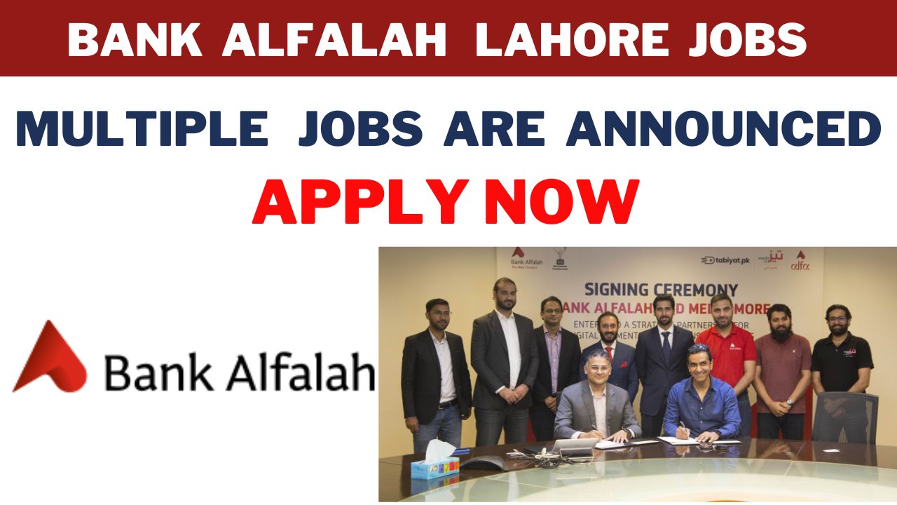 bank alfalah jobs