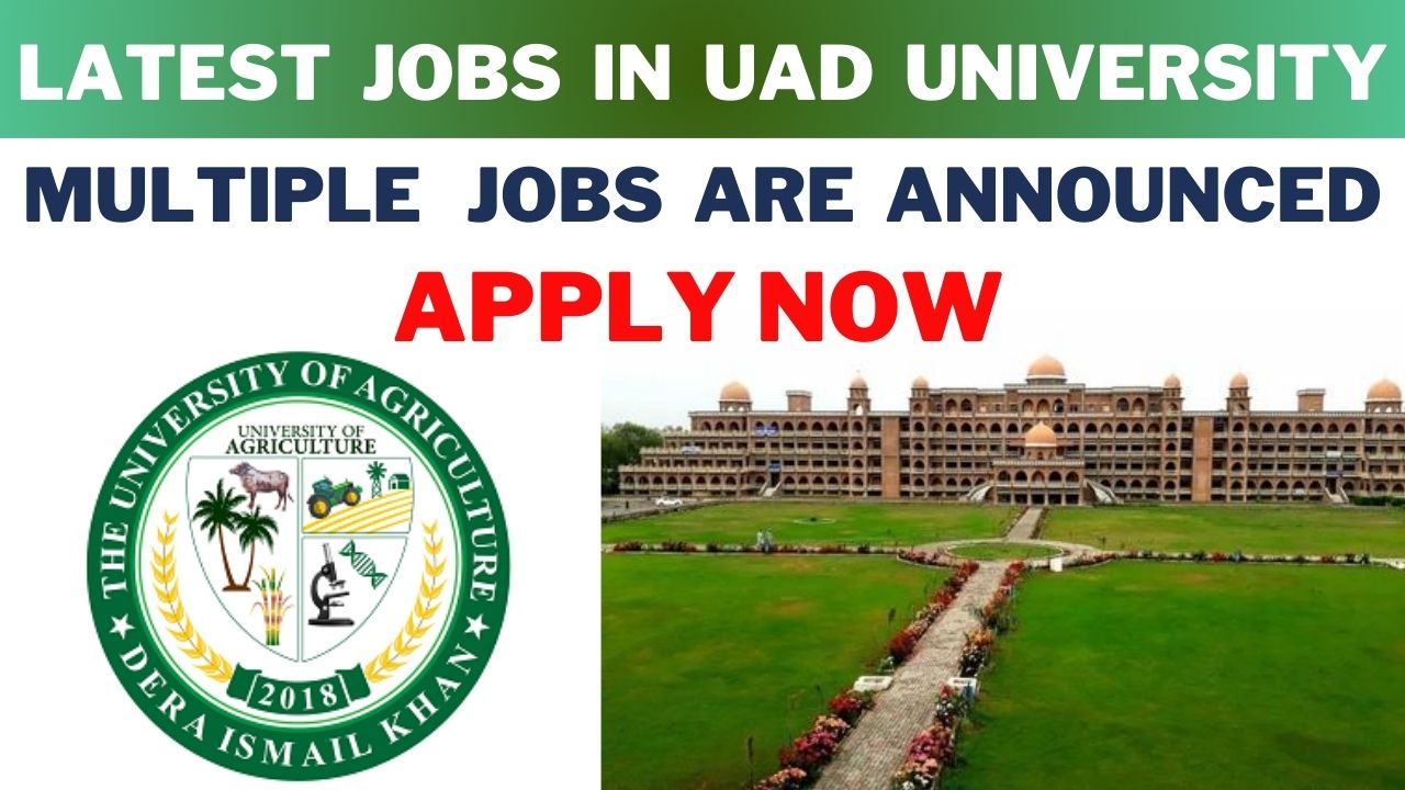 University of Agriculture Dera Ismail Khan Jobs