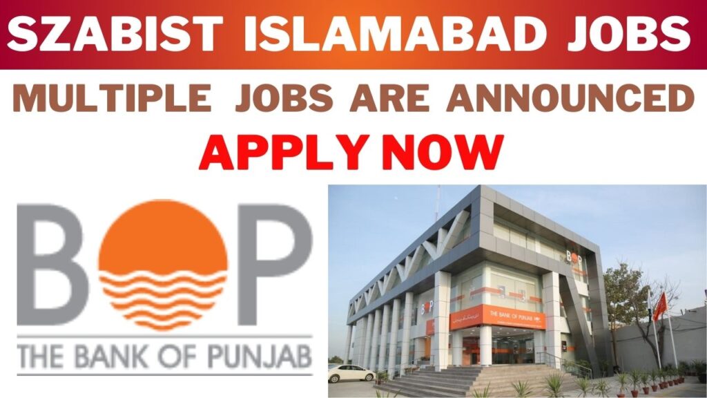 bank of punjab jobs