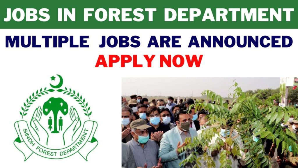 forest department sindh jobs