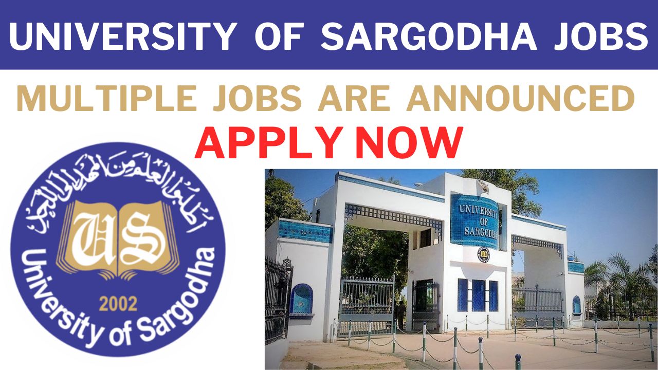 university of sargodha jobs