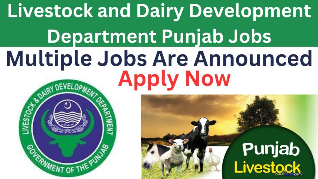 Livestock and Dairy Development Department Punjab Jobs