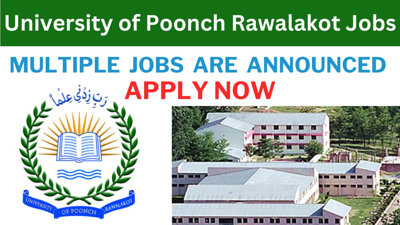 University of Poonch Rawalakot Jobs