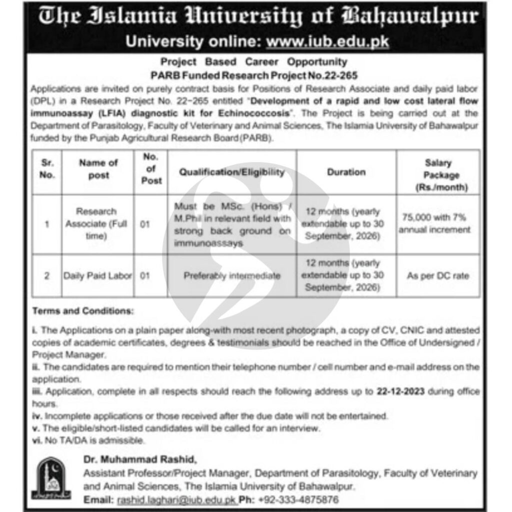 Islamia University of Bahawalpur Jobs