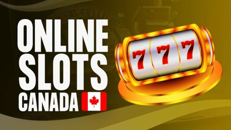 Why You Should Give the Newest Slots Website a Chance as a Beginner Player