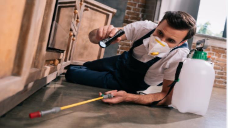 7 Secrets of a successful pest control company