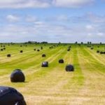Bulk Net Wrap A Cost Effective Solution for Farmers
