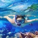 Dive into Adventure Exploring the Allure of Snorkeling Tours